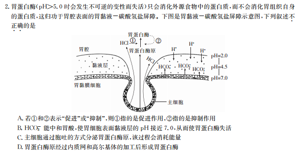 0时会发生不可逆的变性而失活)只会消化外源食物中的蛋白质,而不会