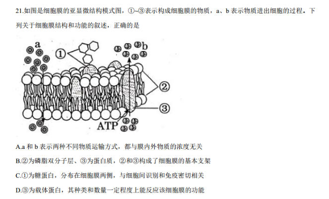 image.png@!test