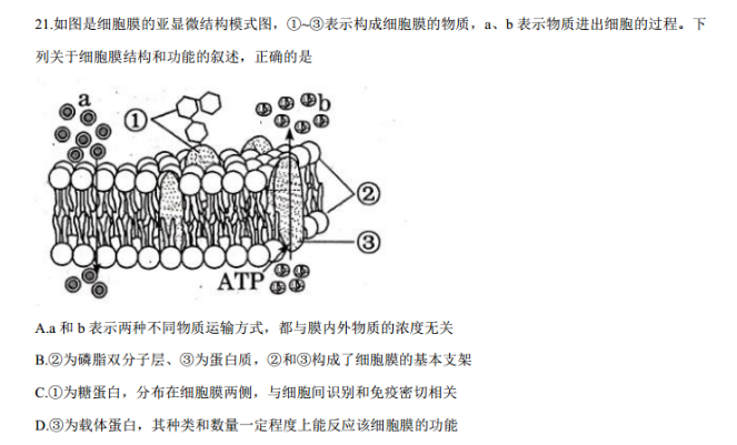 细胞膜结构模式图详细图片