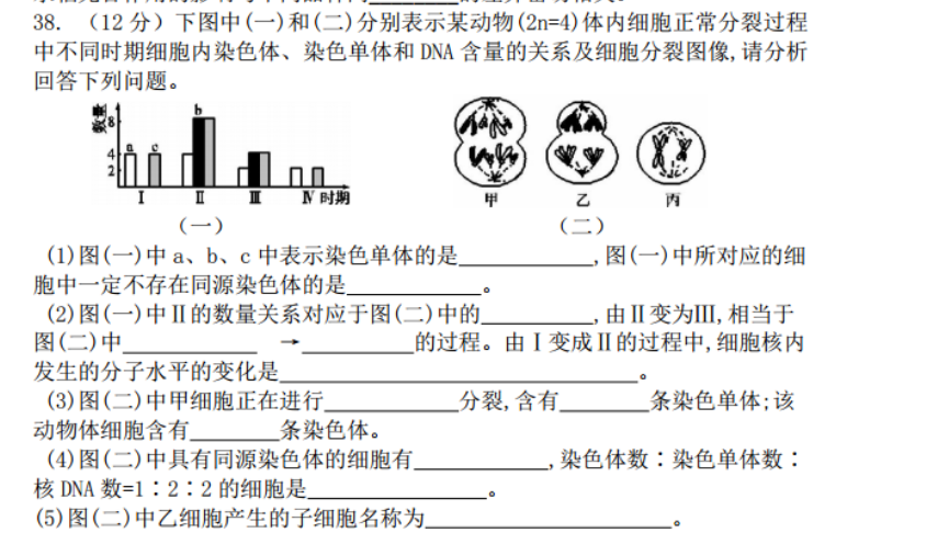 (12分)下图中(一)和(二)分别表示某动物(2n=4)体内细胞正常分裂过程中