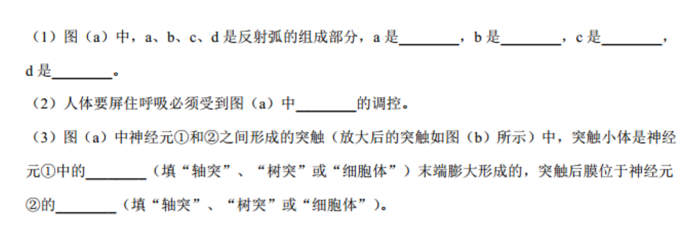 (7分)肺牵张反射是调节呼吸的反射之一,图(a)为肺牵张