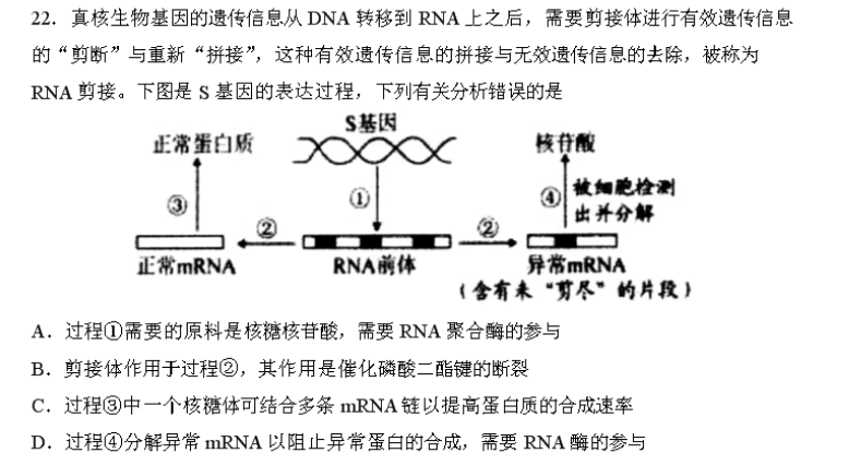 真核生物基因的遗传信息从dna转移到rna上之后,需要剪接体进行有效