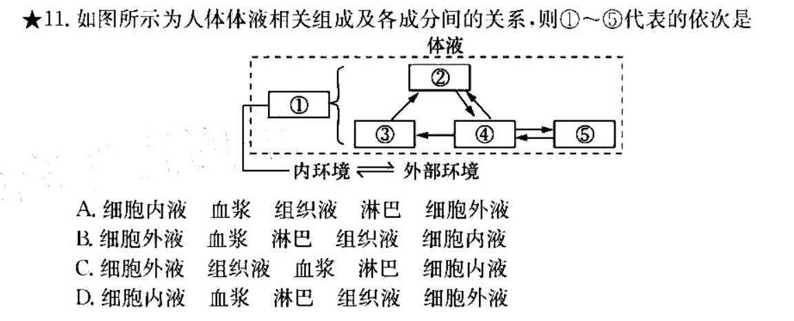 11如图所示为人体体液相关组成及各成分间的关系则①⑤代表
