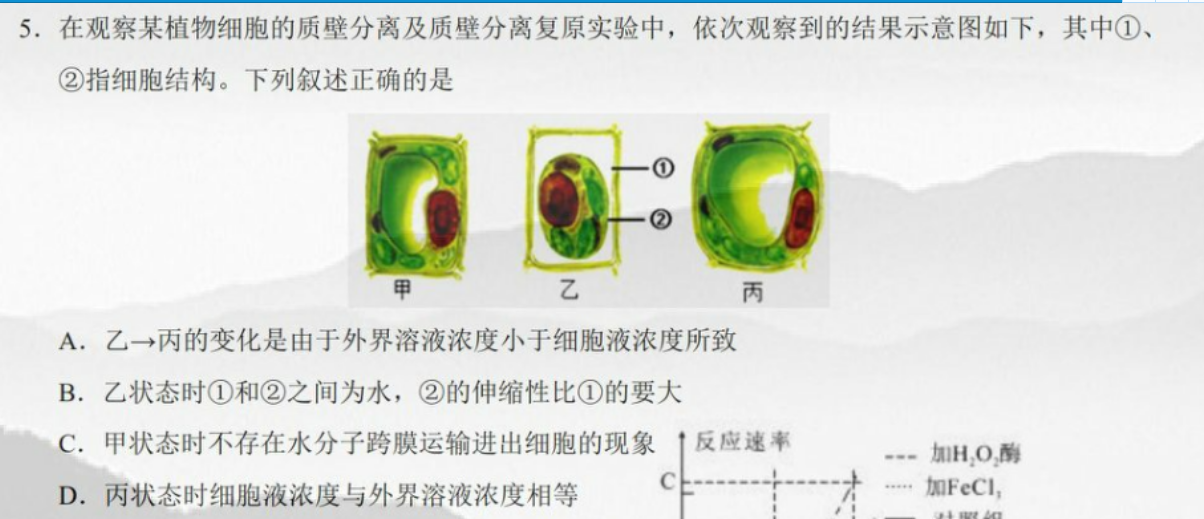在观察某植物细胞的质壁分离及质壁分离复原实验中,依次观察到的结果