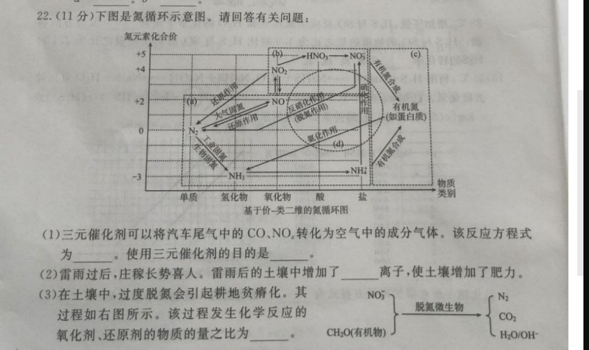 请回答有关问题:氮元素化合价 5有机氮作用(如蛋白质物质单质氢化