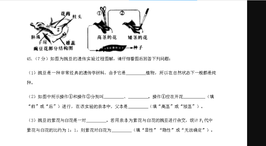 花药柱头胚珠高茎的花矮茎的花子房雄蕊豌豆花部分结构图种子45.