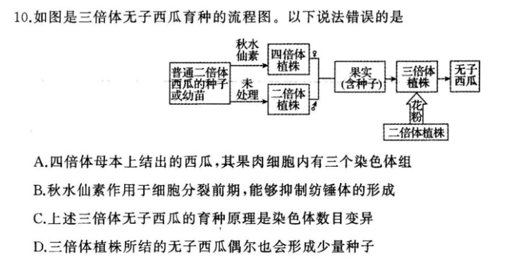 10如图是三倍体无子西瓜育种的流程图以下说法错误的是秋水仙