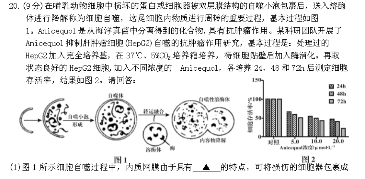 (9分)在哺乳动物细胞中损坏的蛋白或细胞器被双层膜结构的自噬小泡