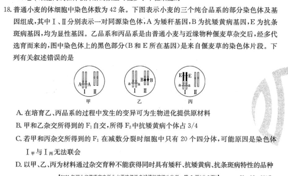 18普通小麦的体细胞中染色体数为42条下图表示小麦的三个纯