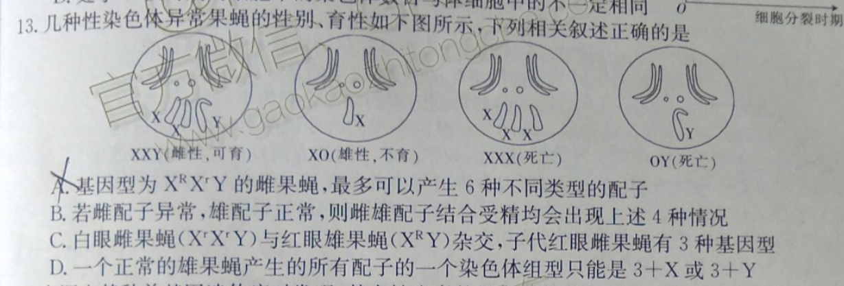 13几种性染色体异常果蝇的性别育性如下图所示下列相关叙述