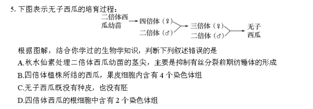 5下图表示无子西瓜的培育过程二倍体西瓜幼苗四倍体