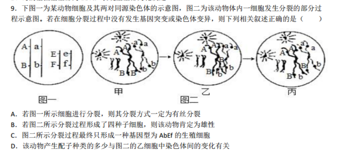 9.下图一为某动物细胞及其两对同源染色体的示意图,图二为该动物