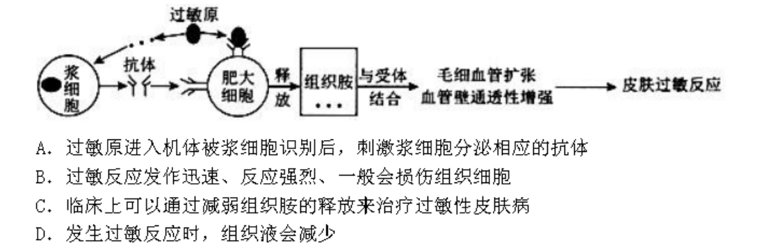 24,如图为皮肤过敏反应的发生机理示意图,下列说法正确的是过敏